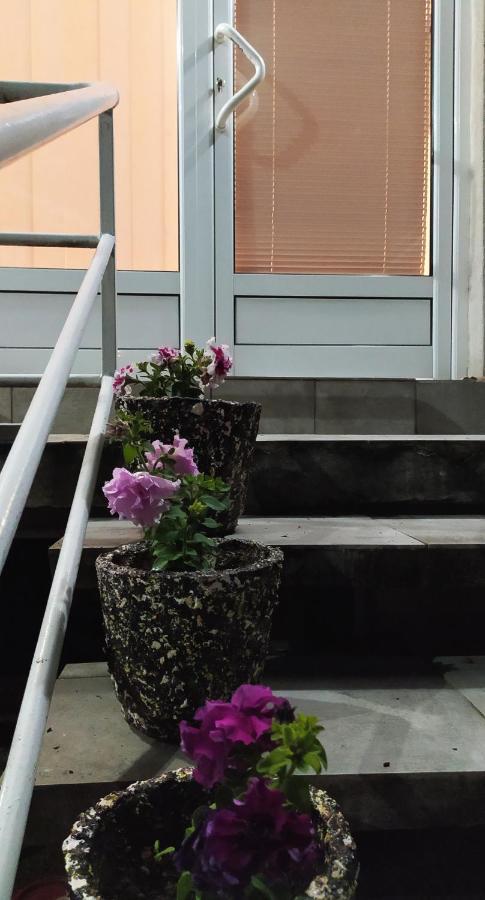 Apartman Todorovic Jagodina Εξωτερικό φωτογραφία